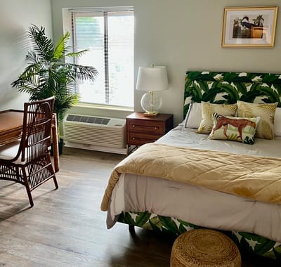 Cozy private resident room with greenery