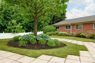 Landscaped outdoor area with trees and shrubs