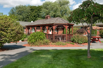 Outdoor gazebo surrounded by landscaping