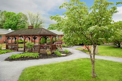 Beautiful outdoor gazebo surrounded by greenery