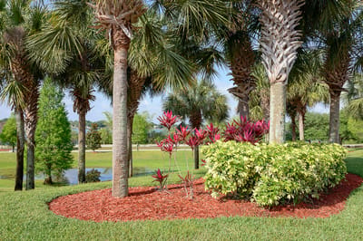 Colorful landscaping in a senior living facility garden