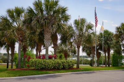 Palm trees and flags outside the facility