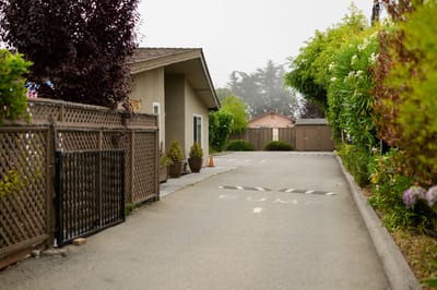 Pathway leading to residential area with greenery