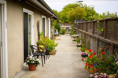 Pathway with potted flowers and seating outside