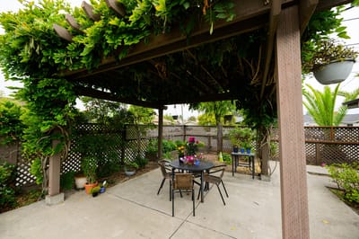 Outdoor seating area in a garden space
