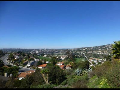 Aerial view of North La Costa area with homes and greenery