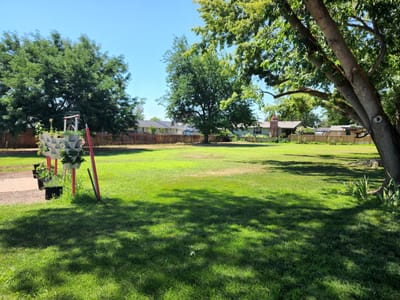 Spacious outdoor garden area with trees and lawn