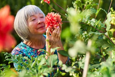 Senior woman enjoying flowers in a garden