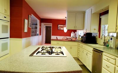 Kitchen area with appliances and an island countertop
