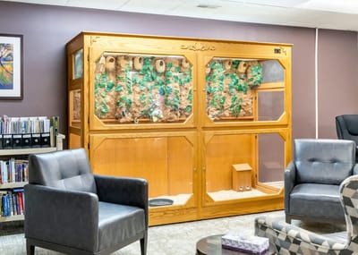 A cozy common area with seating near a pet enclosure
