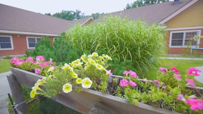 Colorful flower planter with greenery in the background