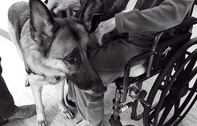 Knopp Healthcare & Rehab, Nursing Home in Fredericksburg, TX — Dog beside a resident in a wheelchair
