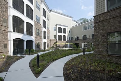 Pathways through a landscaped outdoor space