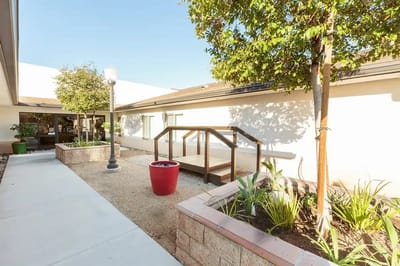 A serene outdoor courtyard with trees and plants