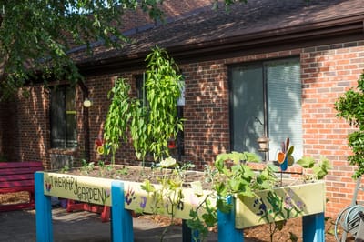 Raised garden bed in a therapy garden area