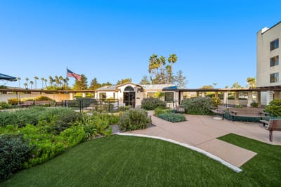 Outdoor garden area with paths and seating