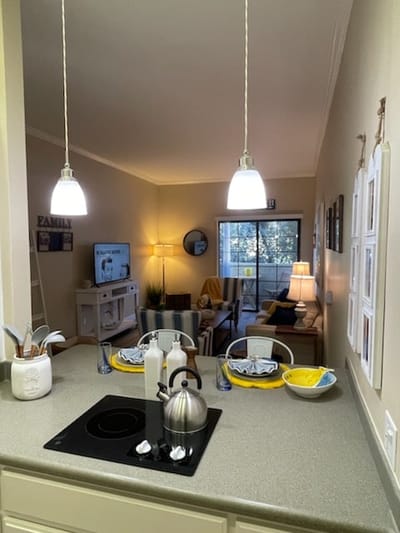 Bright and cozy living area view from kitchen