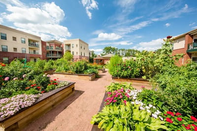 Beautiful garden area with colorful flowers and plants