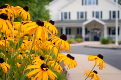 Vibrant flowers in front of a senior living facility