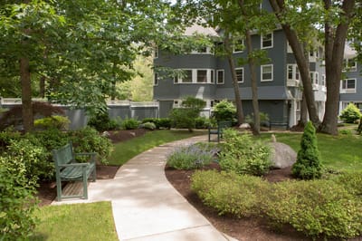 Pathway through a landscaped garden with seating