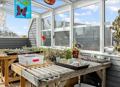 Indoor gardening area with plants and sunlight