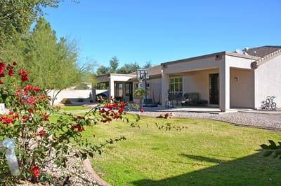 Outdoor view of a garden area with blooming flowers