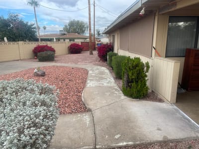 Well-maintained garden path with shrubs and flowers
