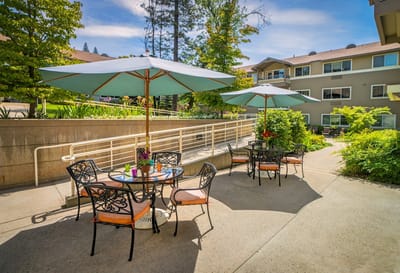 Outdoor seating area with umbrellas and plants