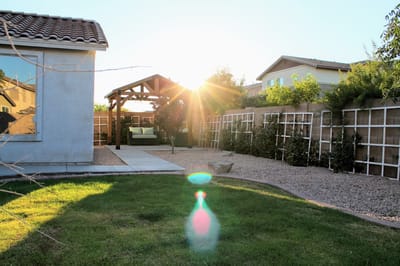 Sunset view of a landscaped outdoor space