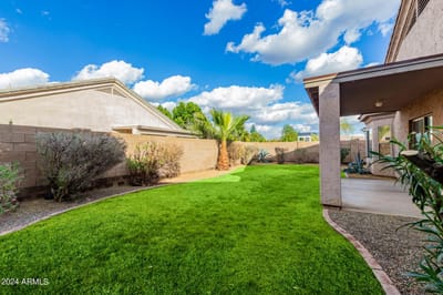 Well-maintained outdoor garden space with grass and plants