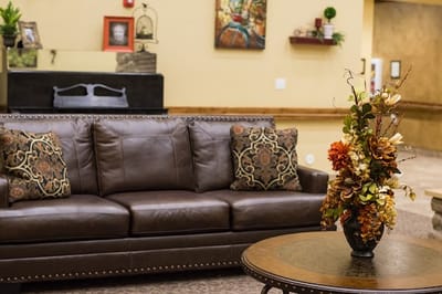 Cozy interior lounge with a decorative sofa and flowers