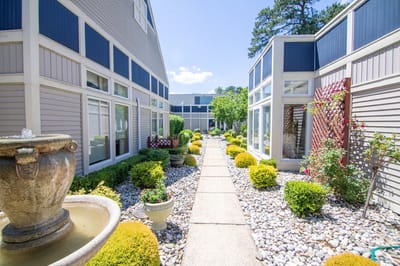 A peaceful outdoor garden area with pathways and plants