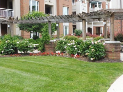 Beautiful outdoor garden with flowers and greenery