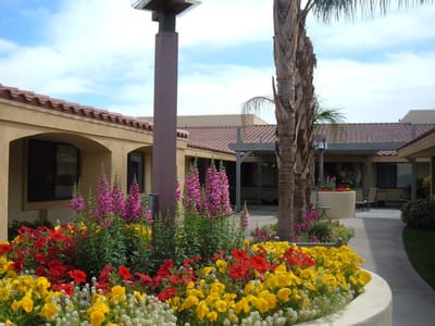 Colorful flowers in a courtyard garden