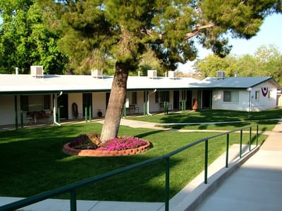 Outdoor space with grassy area and trees