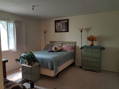 Cozy private bedroom with bed and decor