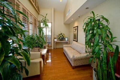 Bright interior lounge area with seating and plants