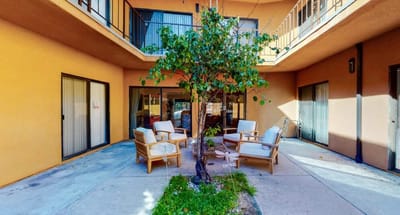 Outdoor seating area with chairs and a tree