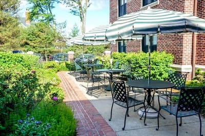 Outdoor seating area with umbrellas and greenery