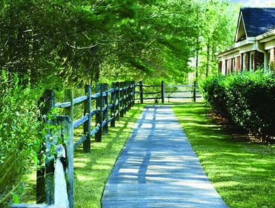 Pathway with greenery leading to the facility