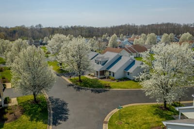 Aerial view of a residential area with flowering trees