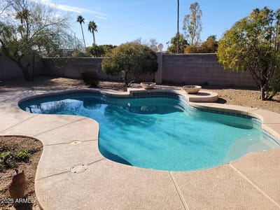 Silver Creek Assisted Living II, assisted living in Maricopa County, AZ — Swimming pool surrounded by landscaping and palm trees