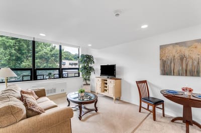 Bright interior living space with comfortable furniture