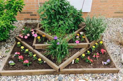 Decorative flower garden in an outdoor area