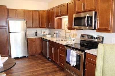 Modern kitchen with wooden cabinets and appliances