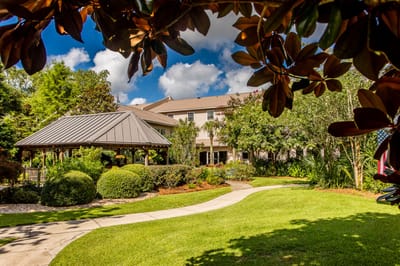 Outdoor garden area with a gazebo and pathway