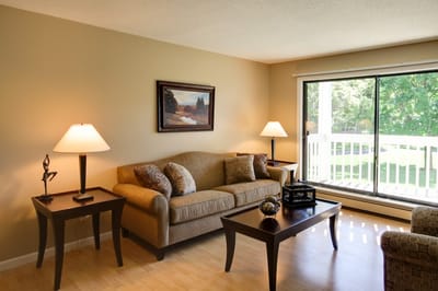 Cozy living room in a senior apartment with natural light