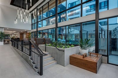 Modern interior lobby with plants and large windows