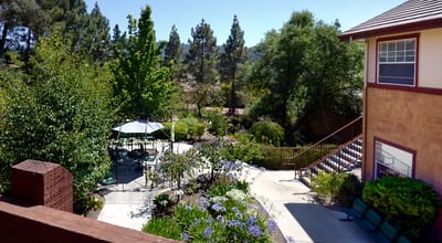Outdoor garden area with seating and trees
