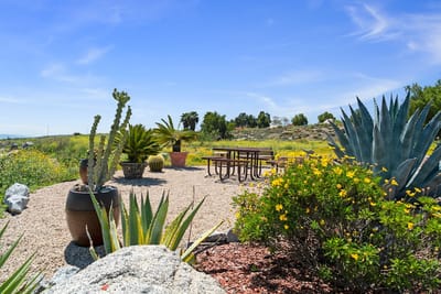 Garden space with seating and landscaping